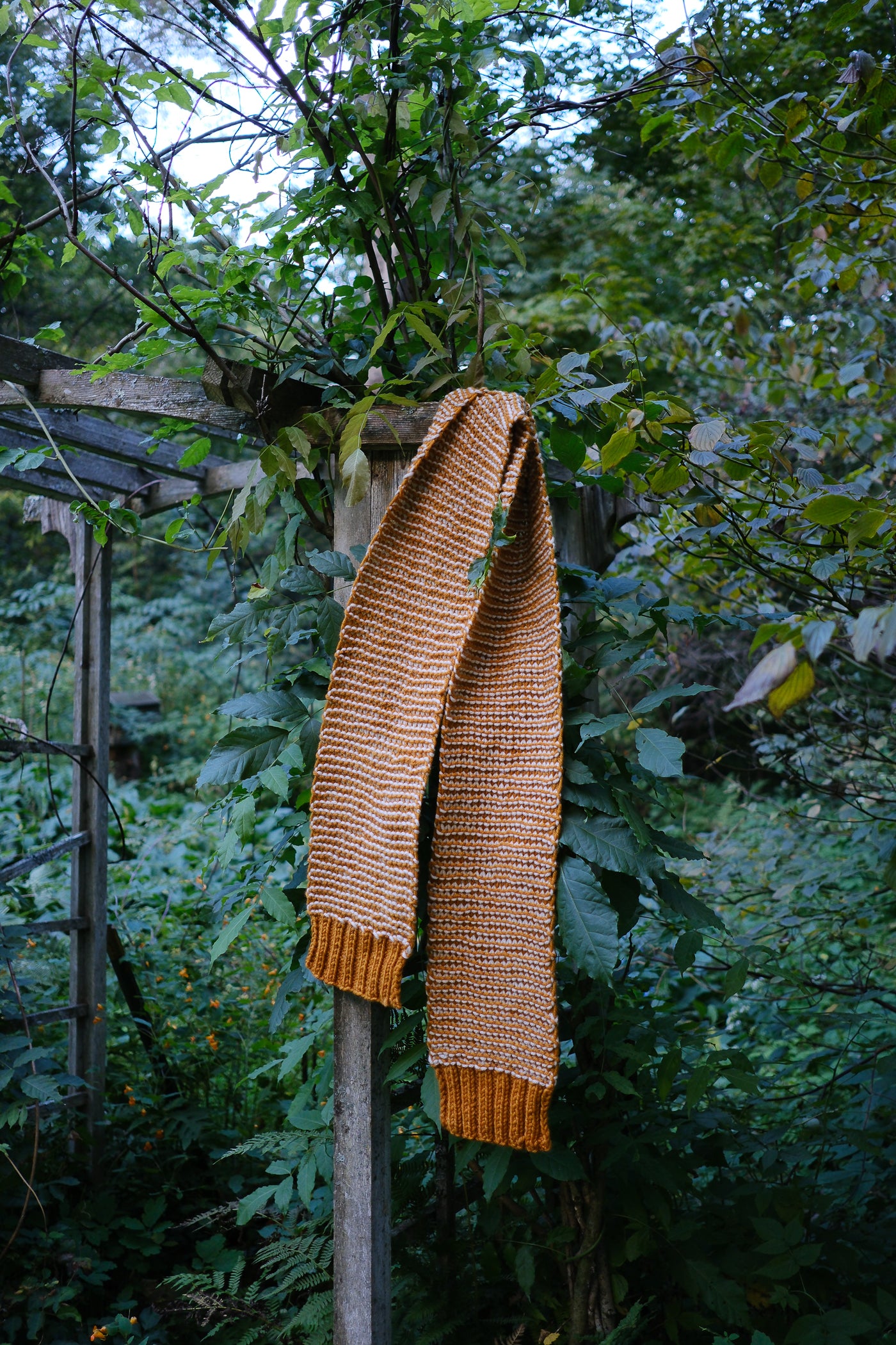 Typewriter Scarf (2023M)