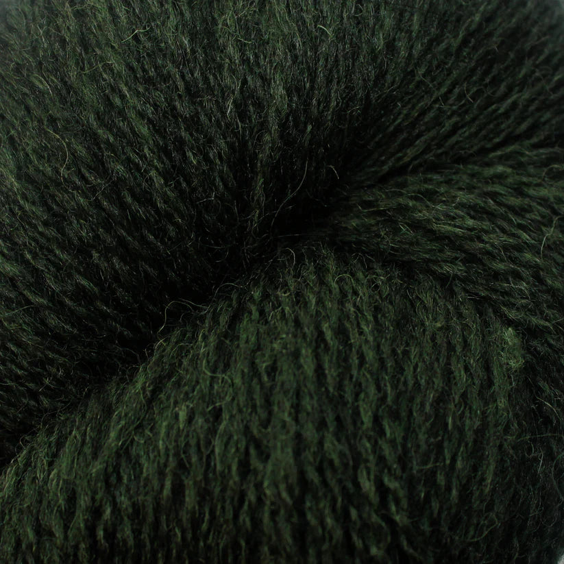 Eden 4-Ply