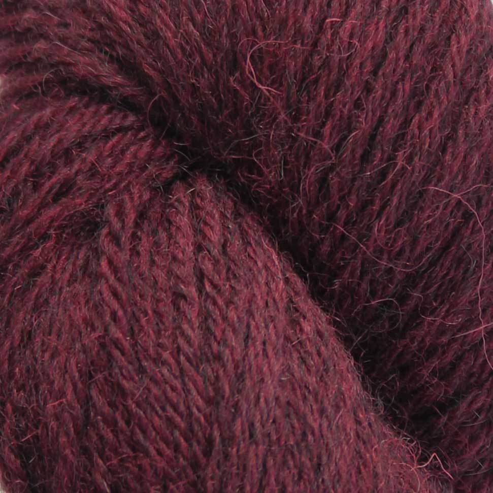 Eden DK