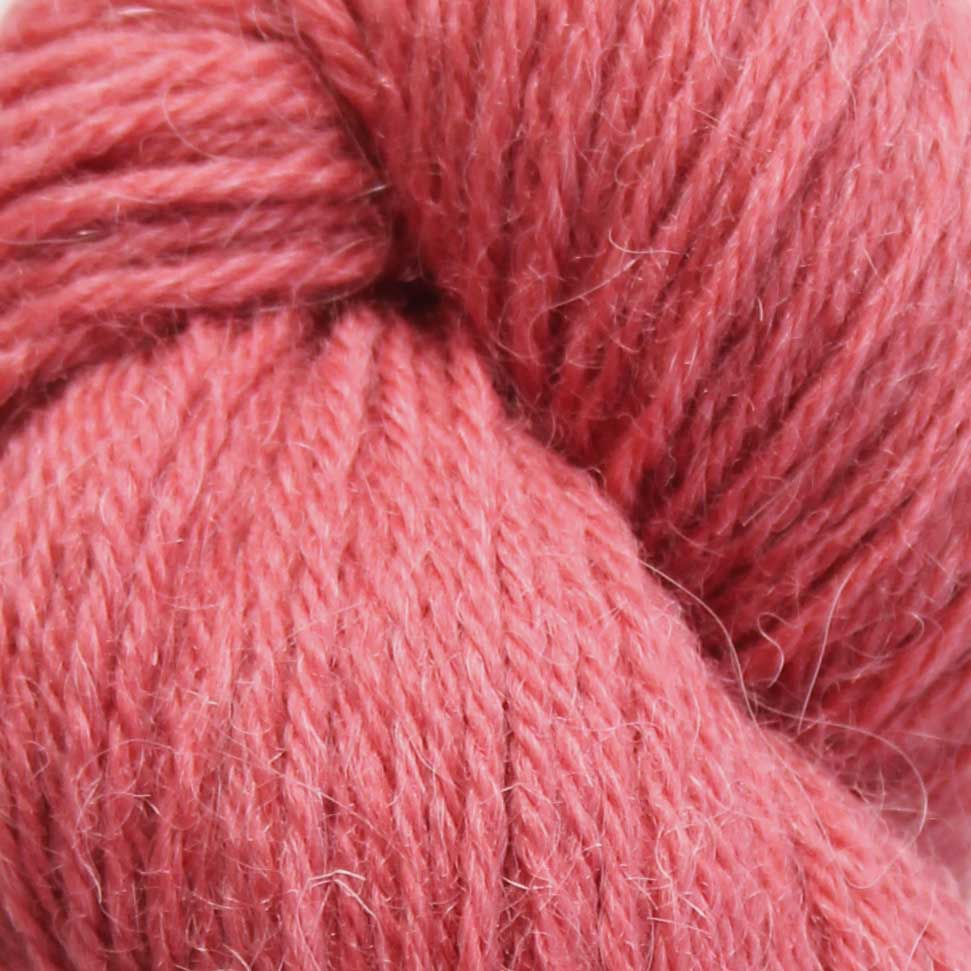 Eden DK