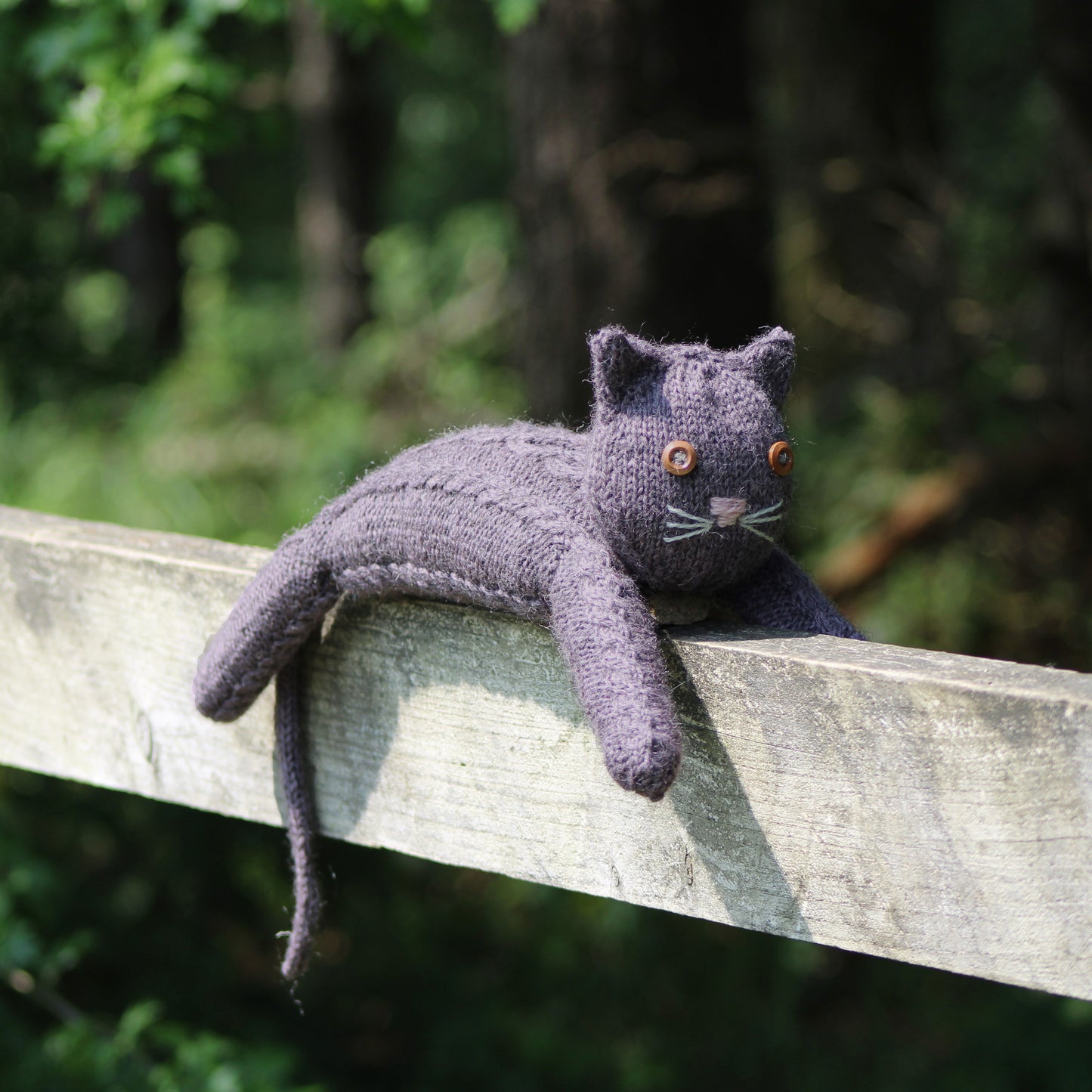 Moggy