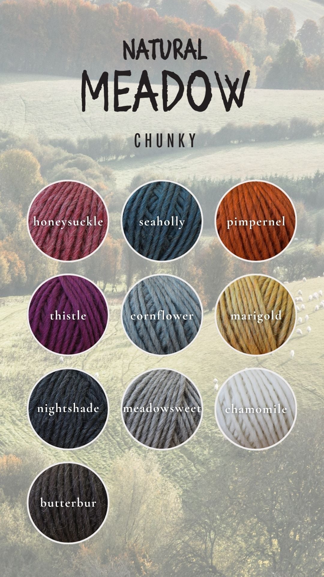 Natural Baa Ram Ewe Meadow yarn in soft, earthy shades, showcasing its textured, high-quality wool fibers.