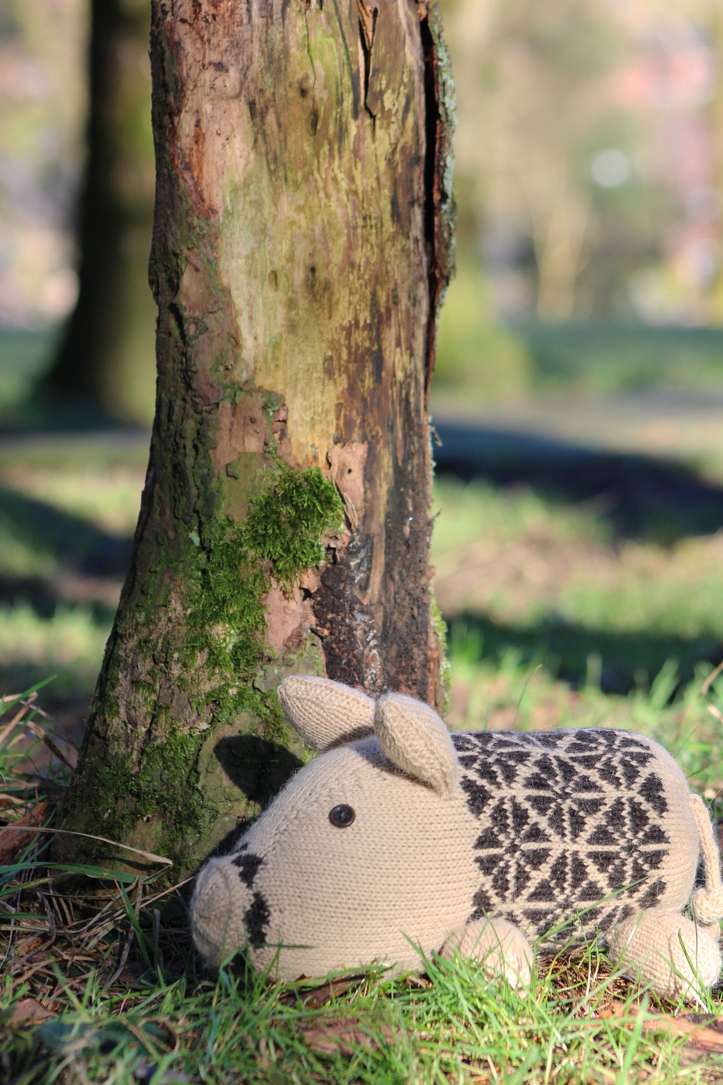 Plum Pudding Pig