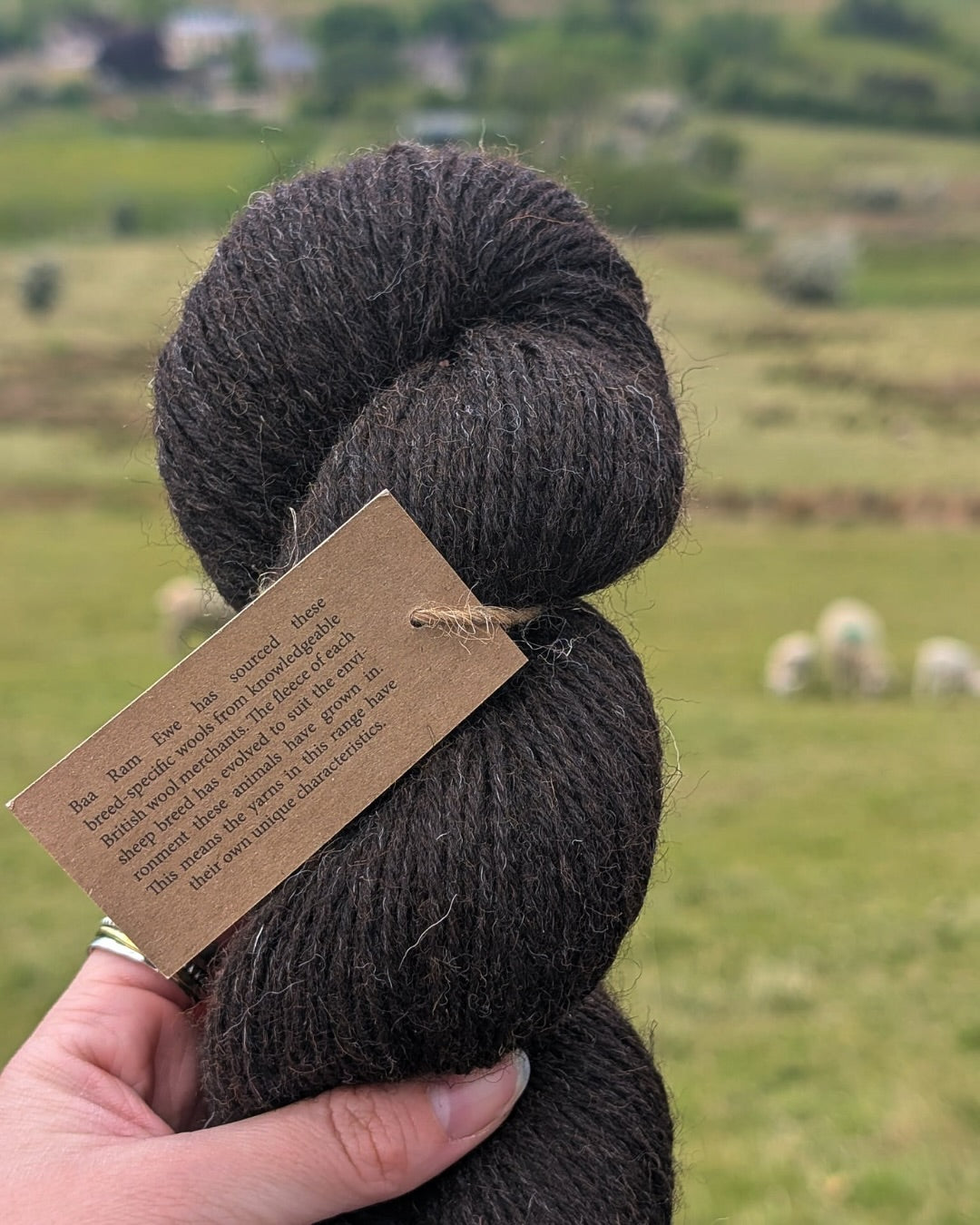 Close-up of Baa Ram Ewe British Breeds yarn showcasing natural fiber textures and soft tones in a realistic outdoor setting.