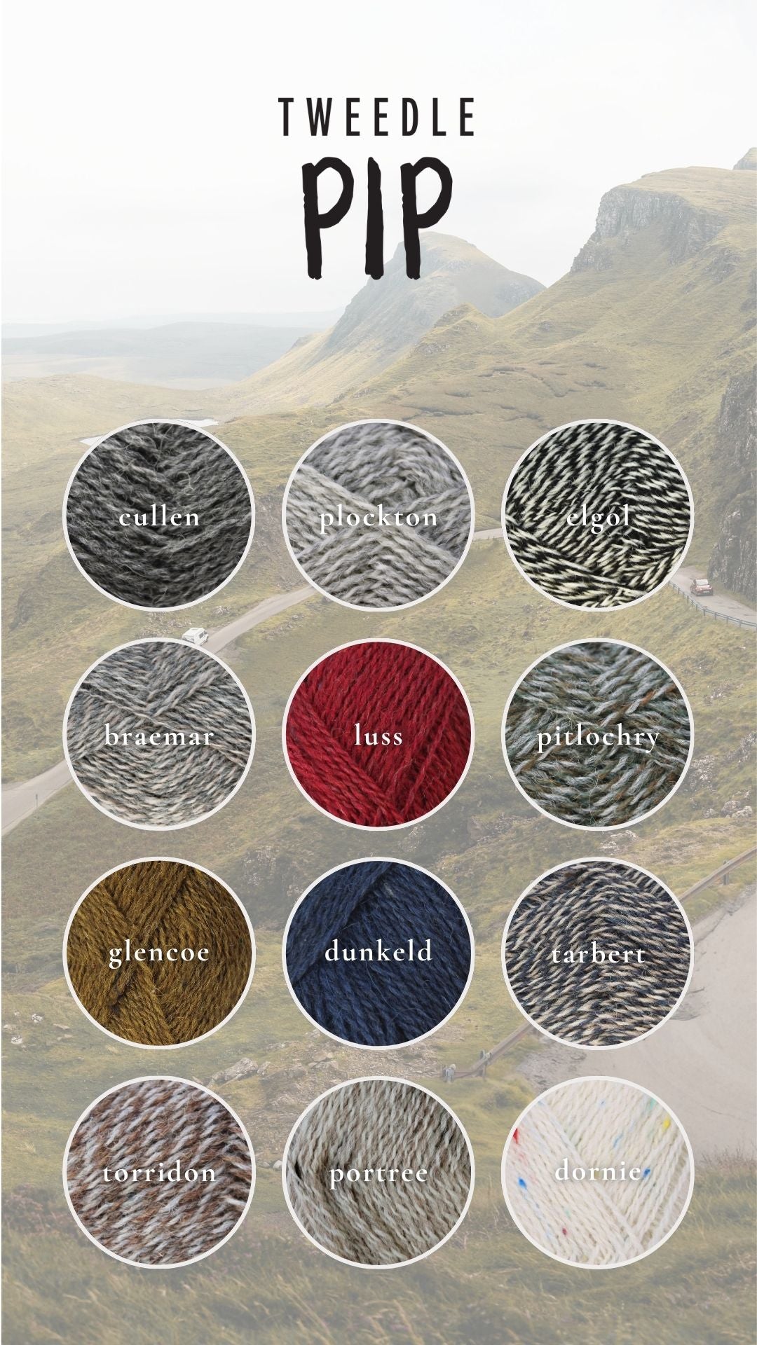 Baa Ram Ewe Tweedle Pip yarn in shades, showcasing soft, colorful wool yarn with a textured, tweed appearance.