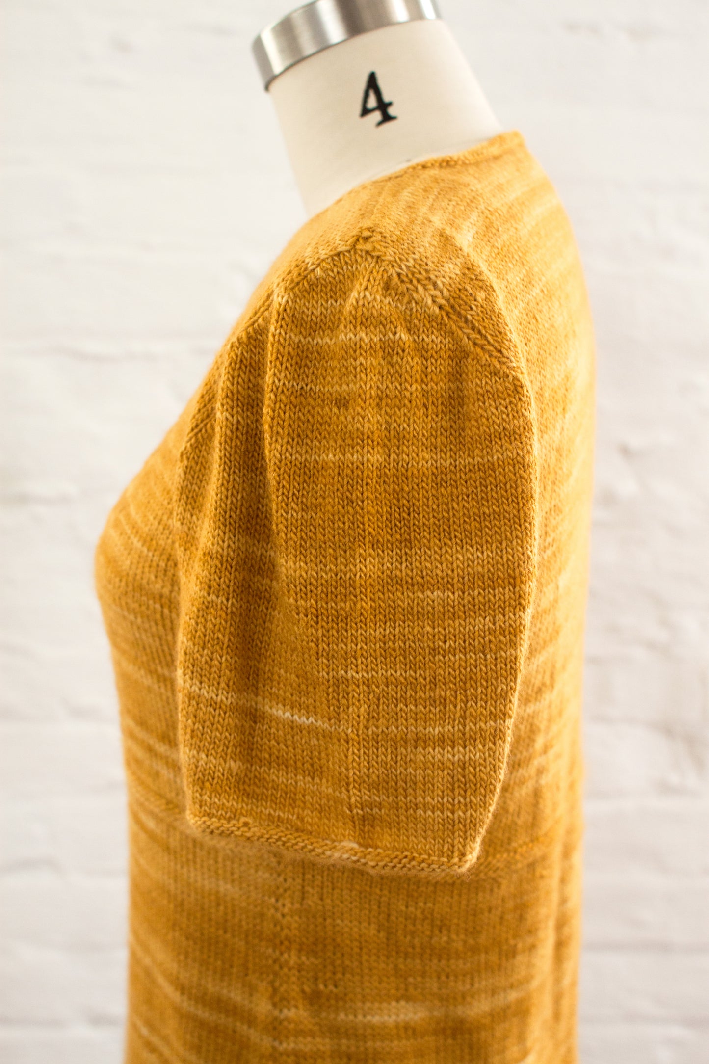 Narciso (2016G)