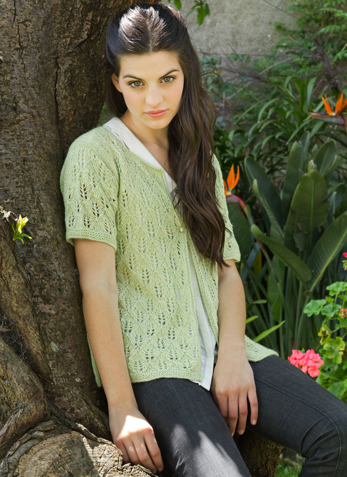 Alcott (2012D)