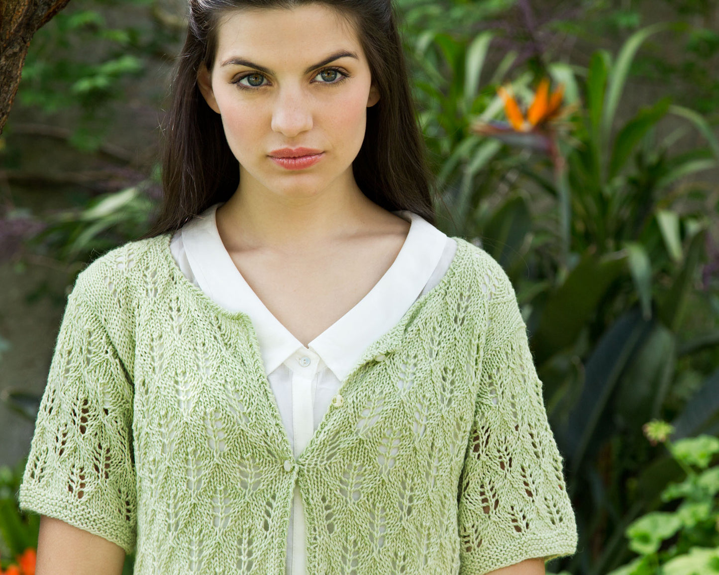 Alcott (2012D)