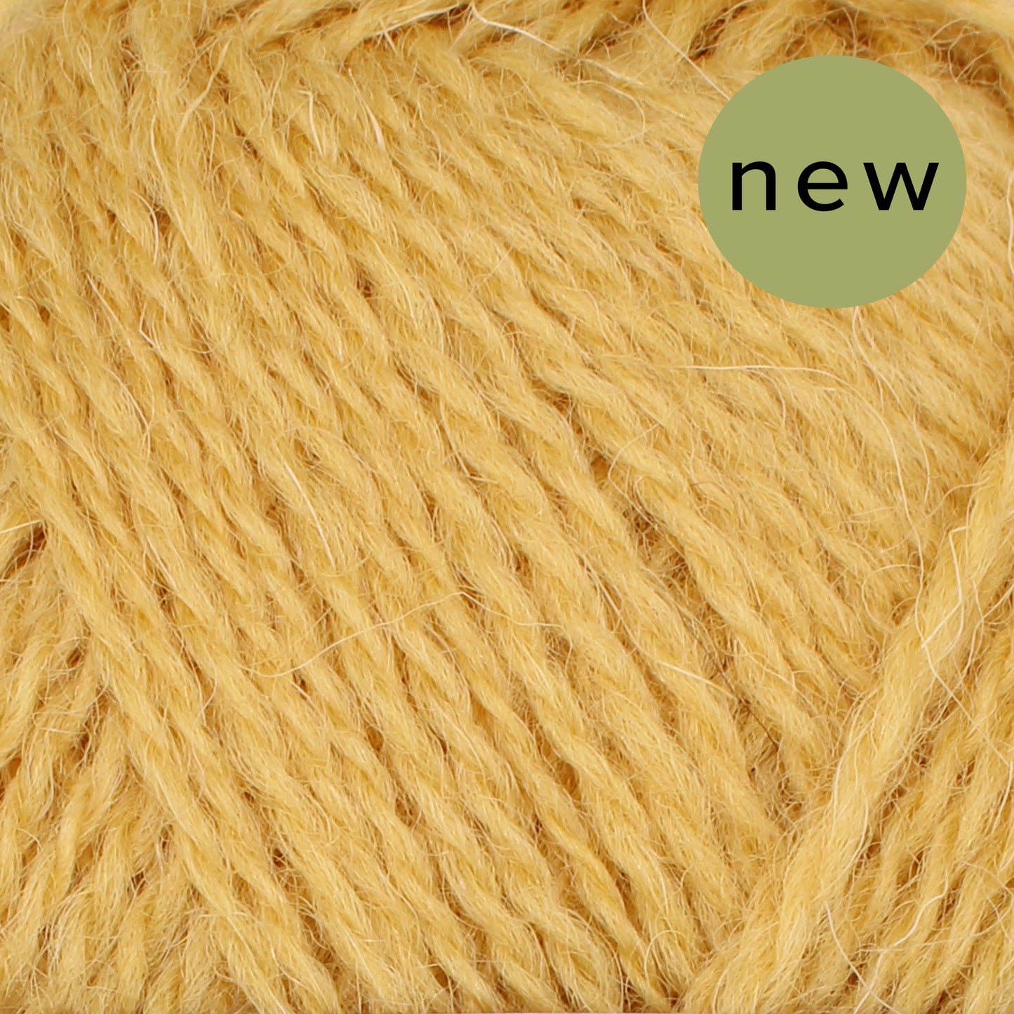 Pip Colourwork