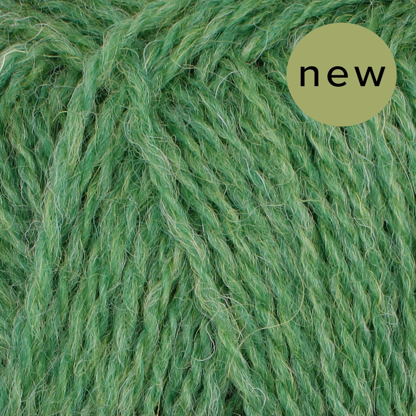 Pip Colourwork