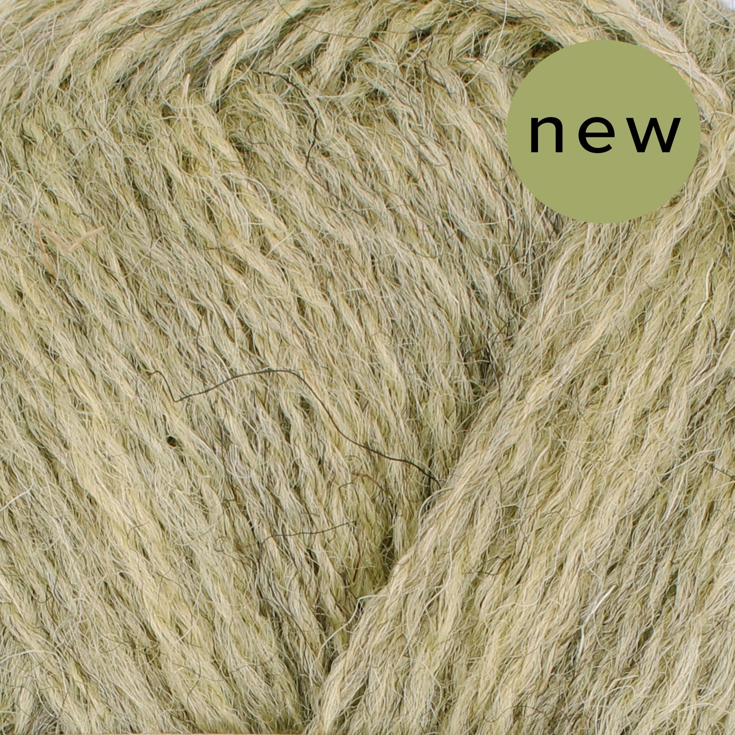 Pip Colourwork