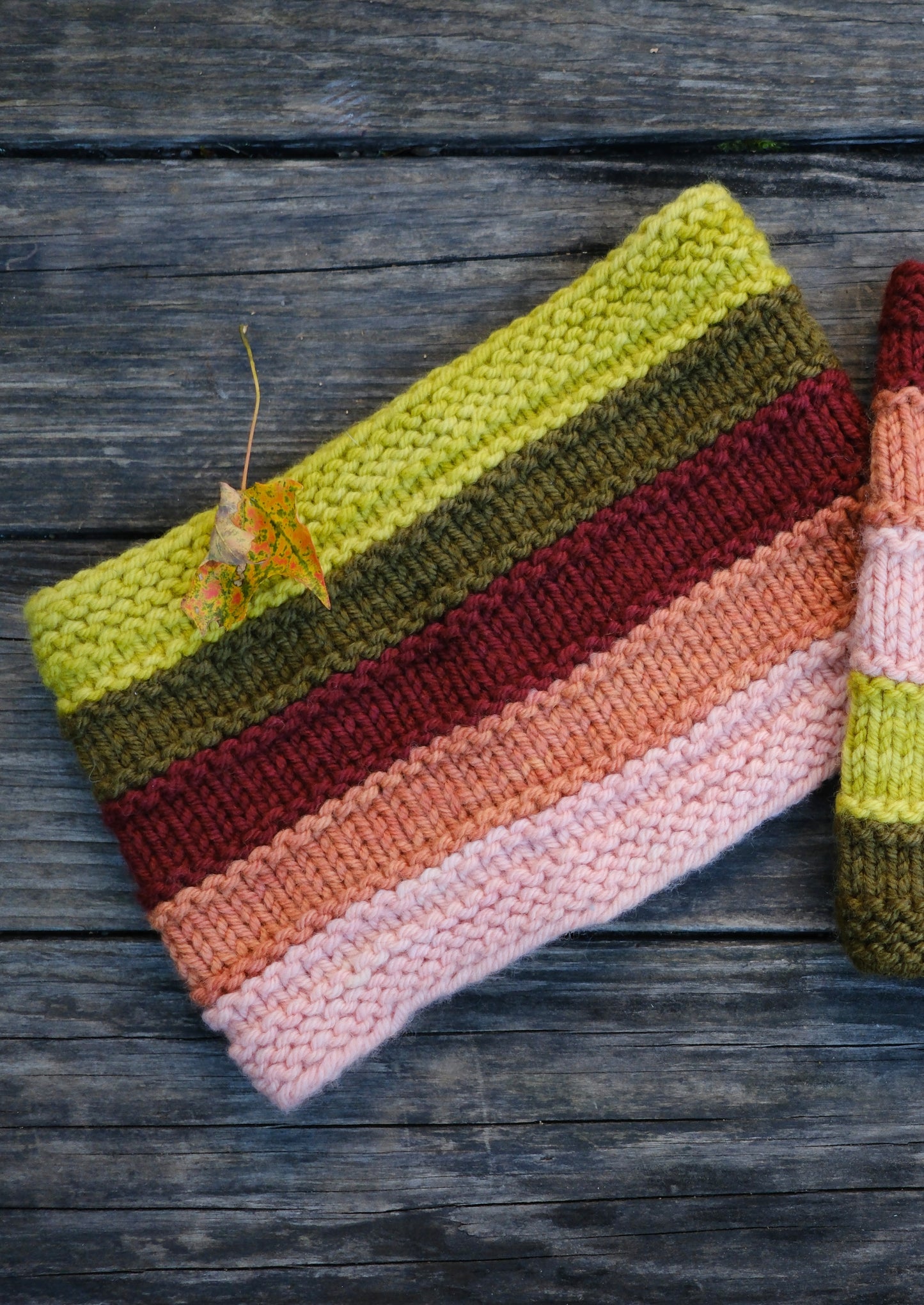 Clems Run Cowl (2023O)