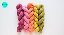 Fino Mini-Skein Kits