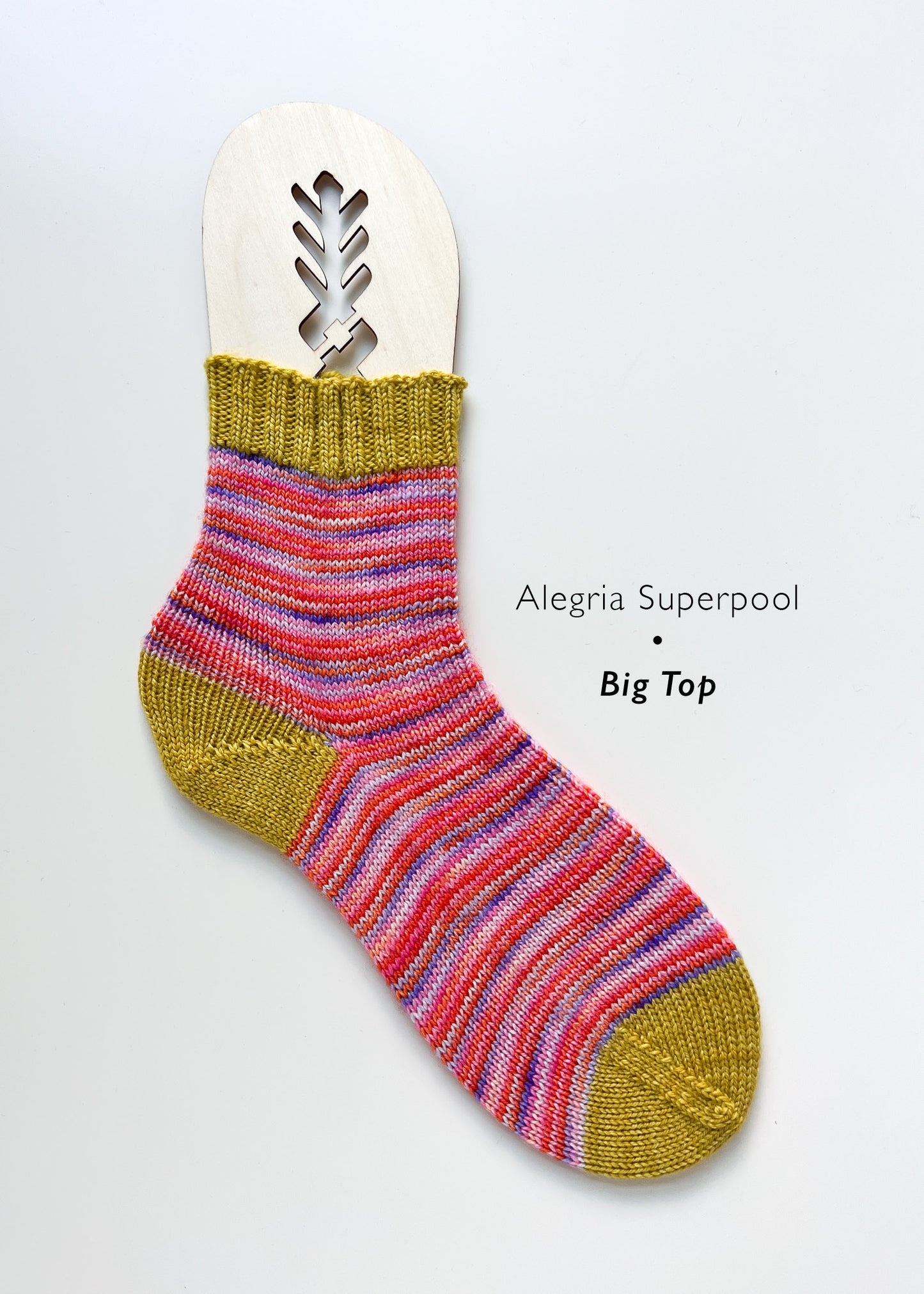 Alegria Superpool Kits [Discontinued]