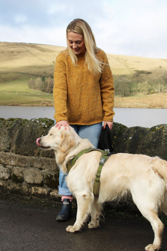 Baa Ram Ewe Ardara pattern displayed in a cozy lifestyle setting, showcasing the intricate knitting design and natural wool texture.