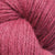 BRE010 Rosehip
