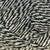 018 Elgol