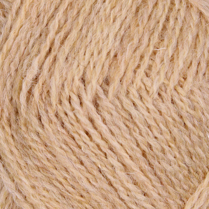 Ewe Color Pip Colourwork – Fairmount Fibers