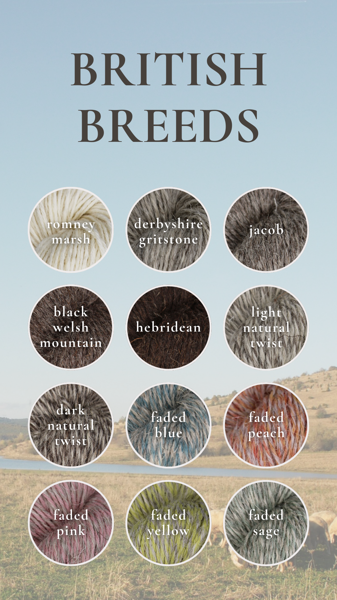 British Breeds yarn by Baa Ram Ewe in various shades, showcasing soft, natural wool fibers and rich color options.