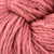 CH10 Begonia