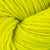 CH16 Fluorescent