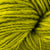CH17 Acid Green