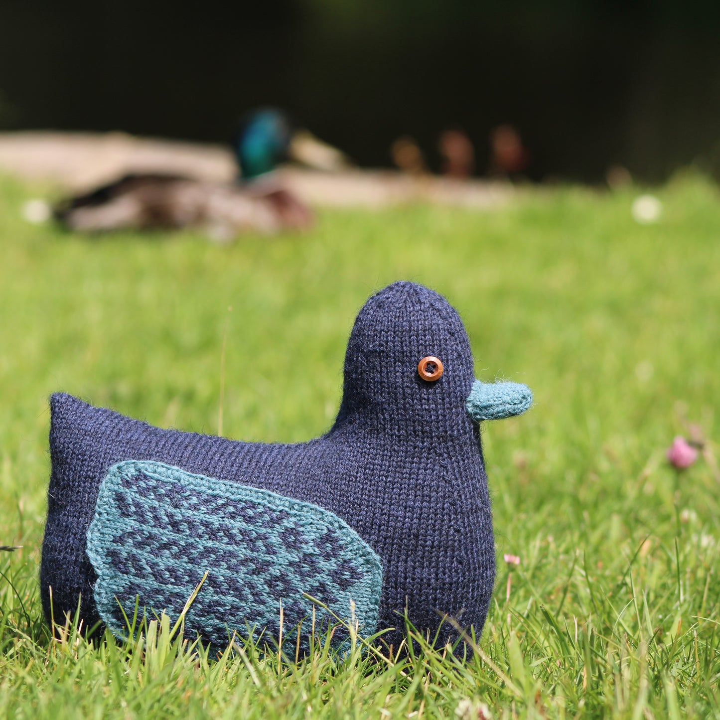 Dabbling Duck