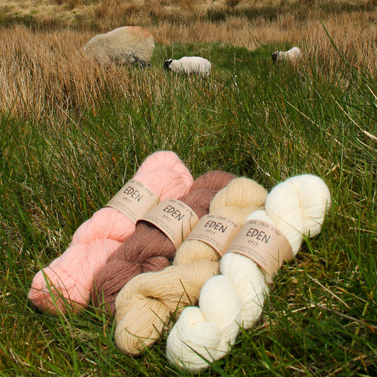 Eden 4-Ply yarn by Baa Ram Ewe, showcasing soft, multicolored wool fibers in a close-up shot.