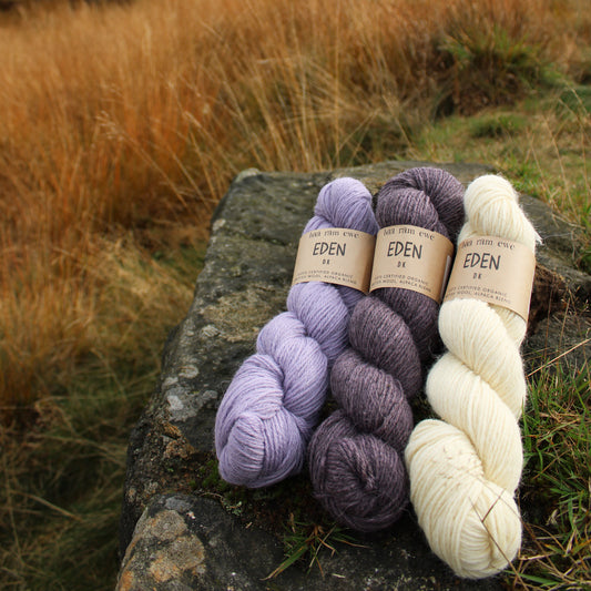 Baa Ram Ewe Eden DK yarn in soft, natural shades, showing the textured skein with vibrant colors and cozy wool fibers.