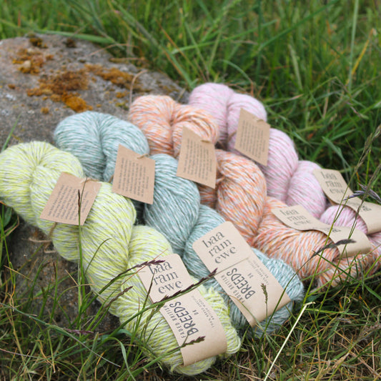 Faded British Breeds yarn by Baa Ram Ewe showcasing soft, natural wool in subtle, muted tones for knitting and crochet projects.