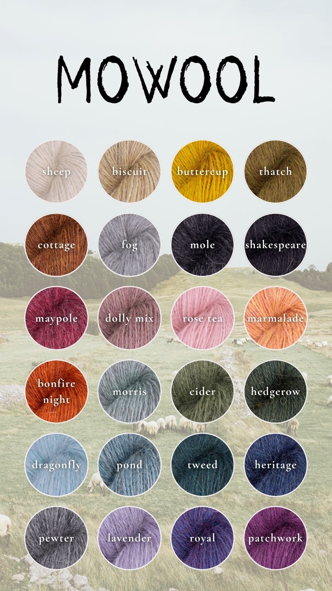 Colorful Mowool yarn by Baa Ram Ewe displayed in various shades, showcasing soft, high-quality wool for knitting and crafting projects.