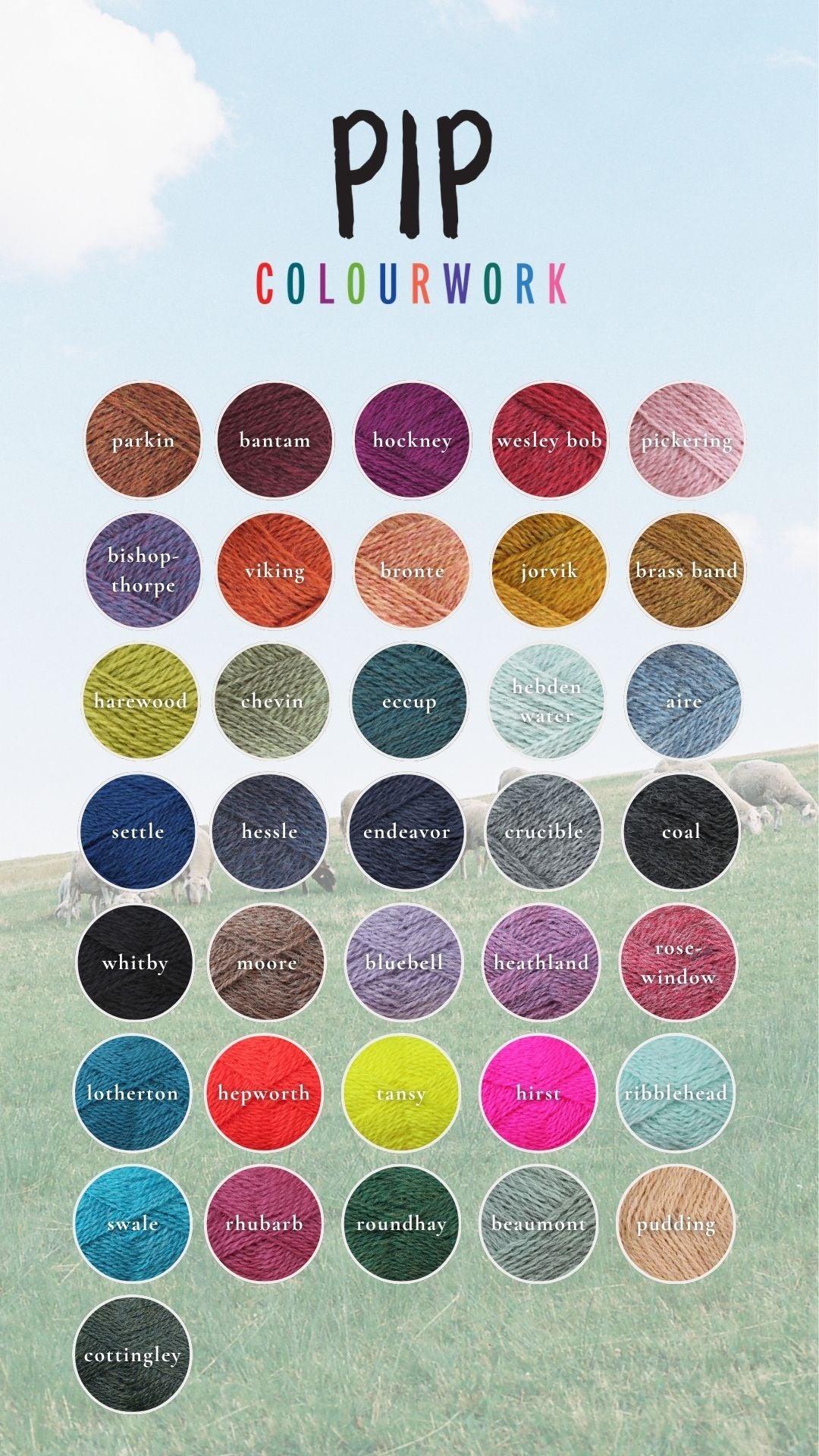 Baa Ram Ewe Pip Colourwork yarn in various shades, showcasing vibrant, soft wool yarn for knitting and crochet projects.
